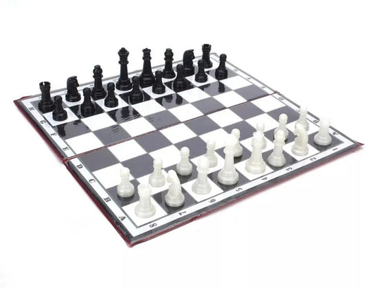 Kings Kingdom Magnetic Chess - view 2